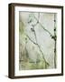 Springtime-Rikki Drotar-Framed Giclee Print