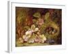 Springtime-Vincent Clare-Framed Giclee Print