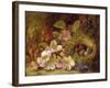 Springtime-Vincent Clare-Framed Giclee Print