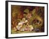 Springtime-Vincent Clare-Framed Giclee Print