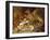 Springtime-Vincent Clare-Framed Giclee Print