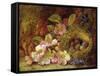 Springtime-Vincent Clare-Framed Stretched Canvas