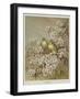 Springtime-null-Framed Giclee Print