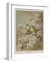 Springtime-null-Framed Giclee Print