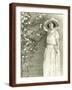 Brown Frame