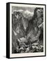 Springville Canyon. Thomas Moran (February 12-null-Framed Stretched Canvas