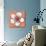 Sprinkle Flower 1-Robbin Rawlings-Art Print displayed on a wall