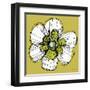 Sprinkle Flower 2-Robbin Rawlings-Framed Art Print