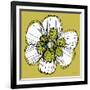 Sprinkle Flower 2-Robbin Rawlings-Framed Art Print