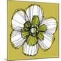 Sprinkle Flower 2-Robbin Rawlings-Mounted Art Print