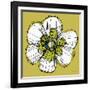 Sprinkle Flower 2-Robbin Rawlings-Framed Art Print