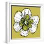 Sprinkle Flower 2-Robbin Rawlings-Framed Art Print