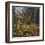 Sprinkle of Fall Color-Phillip Mueller-Framed Giclee Print