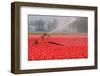 Sprinkler Installation-hansenn-Framed Photographic Print