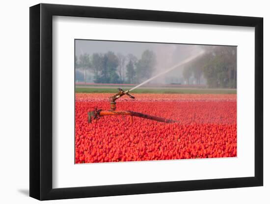 Sprinkler Installation-hansenn-Framed Photographic Print