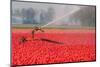 Sprinkler Installation-hansenn-Mounted Photographic Print