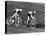 Sprint Cyclists-null-Stretched Canvas