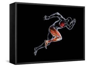 Sprinter, Artwork-SMETEK-Framed Stretched Canvas