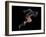 Sprinter, Artwork-SMETEK-Framed Photographic Print