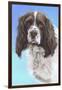 Sprinter Spaniel Zac-Karie-Ann Cooper-Framed Giclee Print