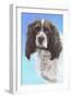 Sprinter Spaniel Zac-Karie-Ann Cooper-Framed Giclee Print