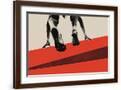 Brown Frame