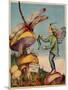 Sprite Needs His Socks Darned By a Dragonfly Who Is Sitting On a Mushroom-null-Mounted Art Print