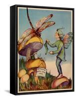 Sprite Needs His Socks Darned By a Dragonfly Who Is Sitting On a Mushroom-null-Framed Stretched Canvas