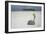 Sprouting Coconut on Beach-null-Framed Photographic Print