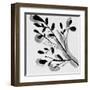 Sprouting II-Melissa Wang-Framed Art Print