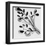 Sprouting II-Melissa Wang-Framed Art Print