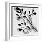 Sprouting II-Melissa Wang-Framed Art Print