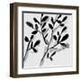 Sprouting III-Melissa Wang-Framed Art Print