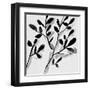 Sprouting III-Melissa Wang-Framed Art Print