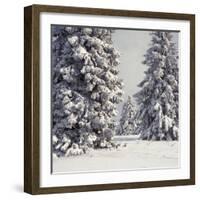 Spruce Fir Trees Covered in Snow-null-Framed Photographic Print