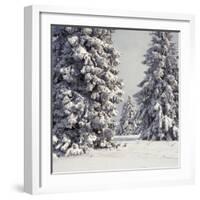 Spruce Fir Trees Covered in Snow-null-Framed Photographic Print