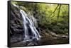 Spruce Flat Falls at Morning-Danny Head-Framed Stretched Canvas