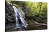 Spruce Flat Falls at Morning-Danny Head-Stretched Canvas