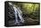 Spruce Flat Falls at Morning-Danny Head-Framed Stretched Canvas