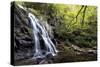 Spruce Flat Falls at Morning-Danny Head-Stretched Canvas