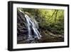 Spruce Flat Falls at Morning-Danny Head-Framed Photographic Print