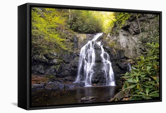 Spruce Flat Falls-Danny Head-Framed Stretched Canvas