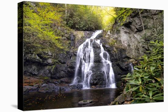 Spruce Flat Falls-Danny Head-Stretched Canvas