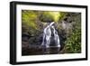 Spruce Flat Falls-Danny Head-Framed Premium Photographic Print