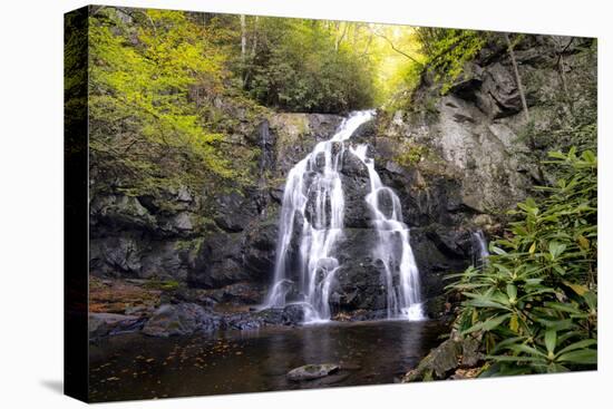 Spruce Flat Falls-Danny Head-Stretched Canvas