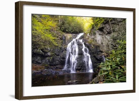 Spruce Flat Falls-Danny Head-Framed Photographic Print