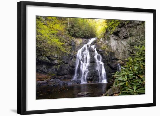 Spruce Flat Falls-Danny Head-Framed Photographic Print