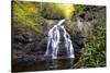 Spruce Flat Falls-Danny Head-Stretched Canvas