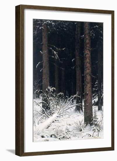 Spruce Forest in Winter, 1884-Ivan Ivanovitch Shishkin-Framed Giclee Print