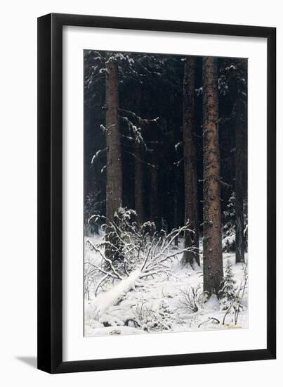 Spruce Forest in Winter, 1884-Ivan Ivanovitch Shishkin-Framed Giclee Print